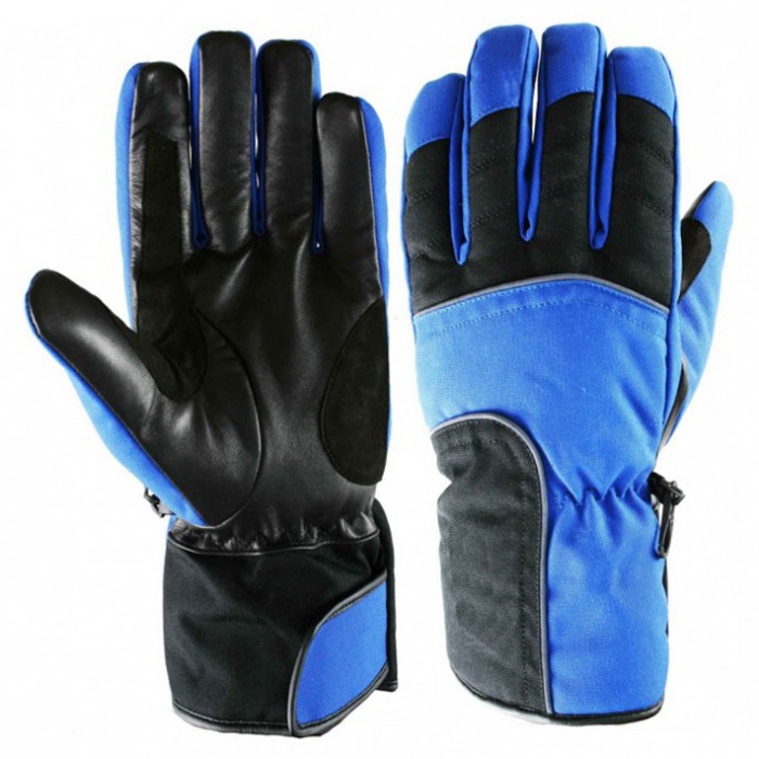 Ski Glove